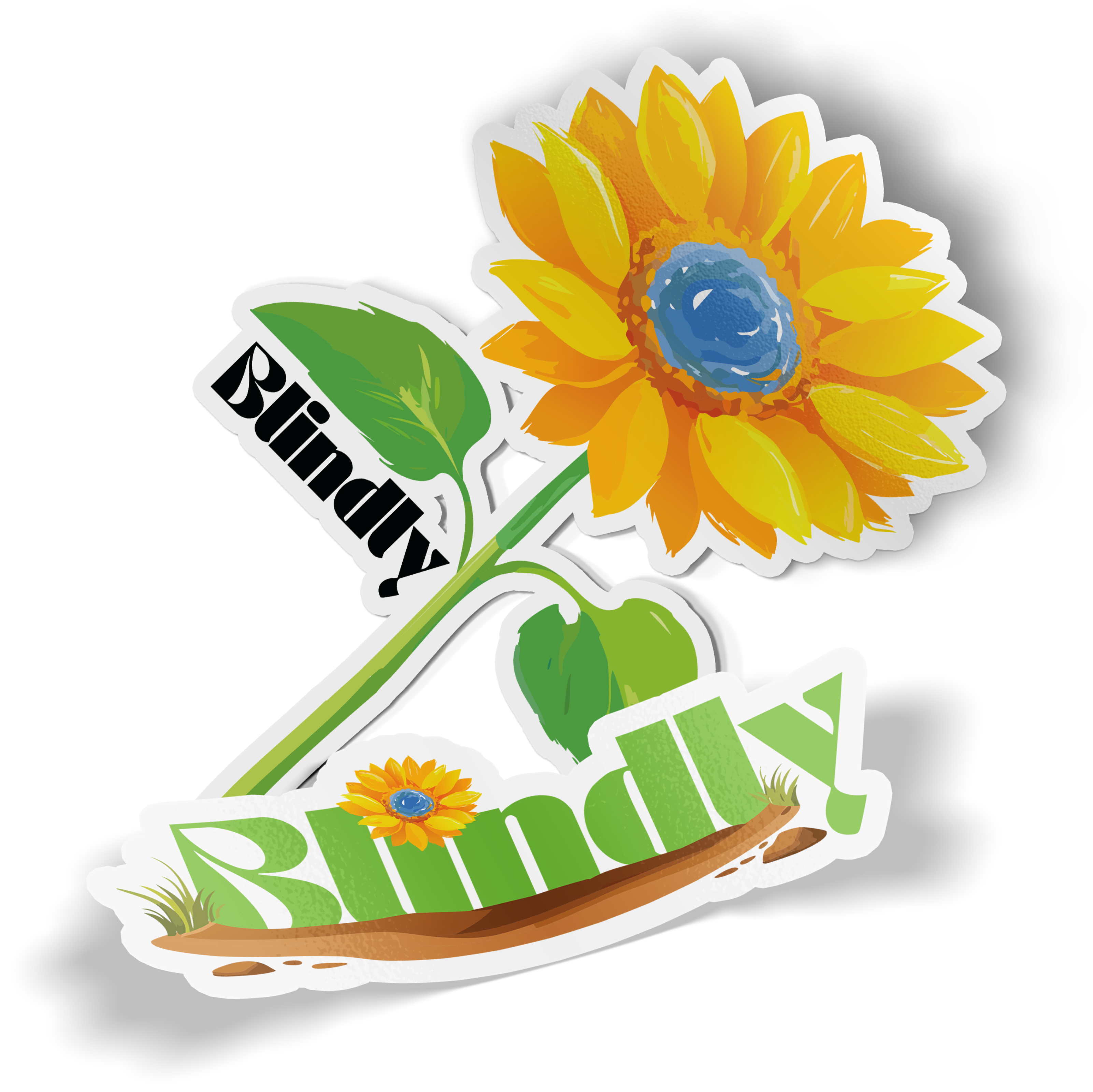 Blind Date with a Contemporary Book