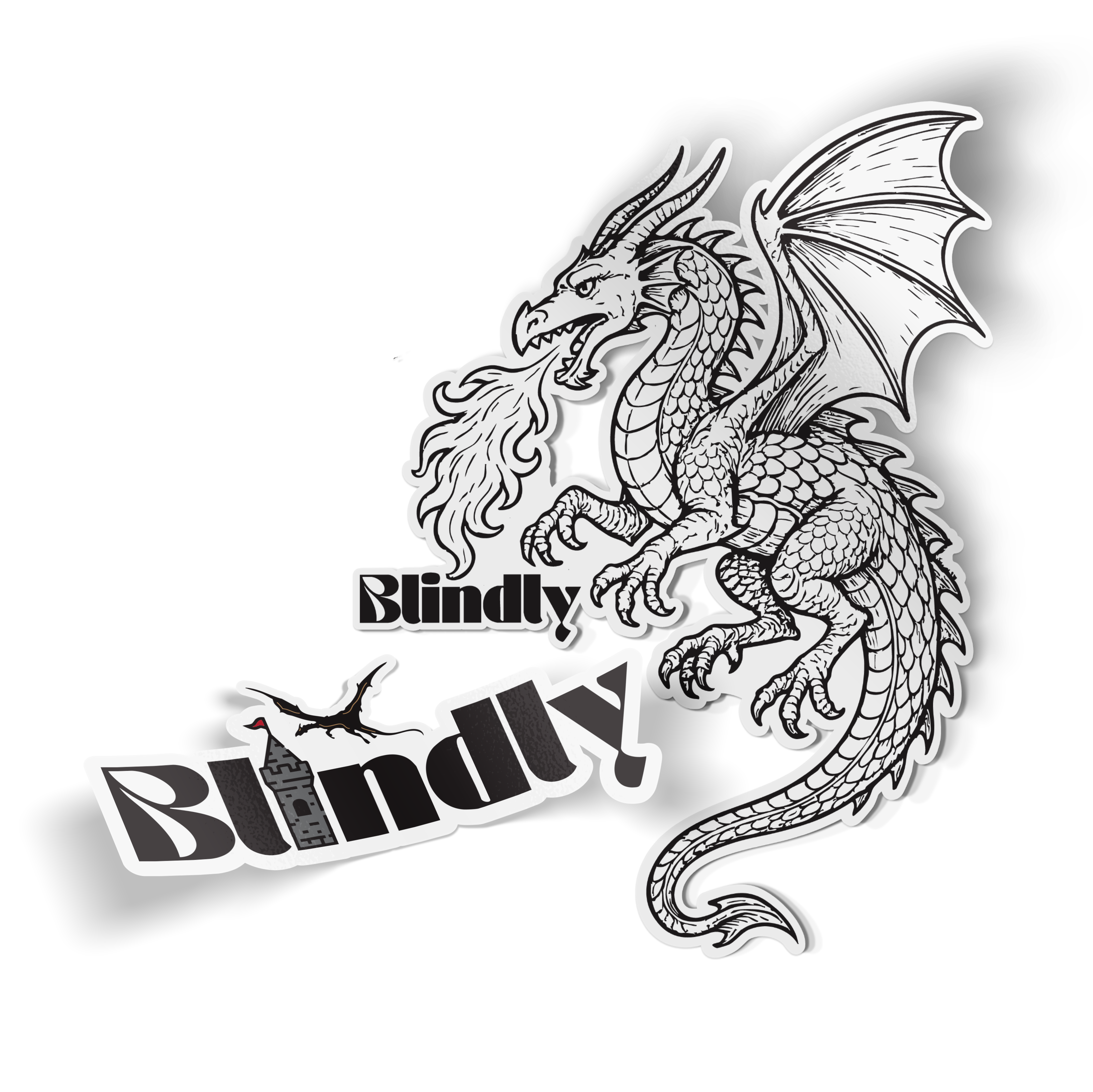 Blind Date with a Fantasy Book