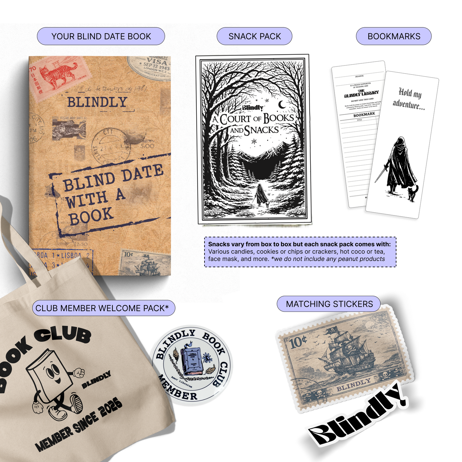 Blind Date with a Historical Fiction Book