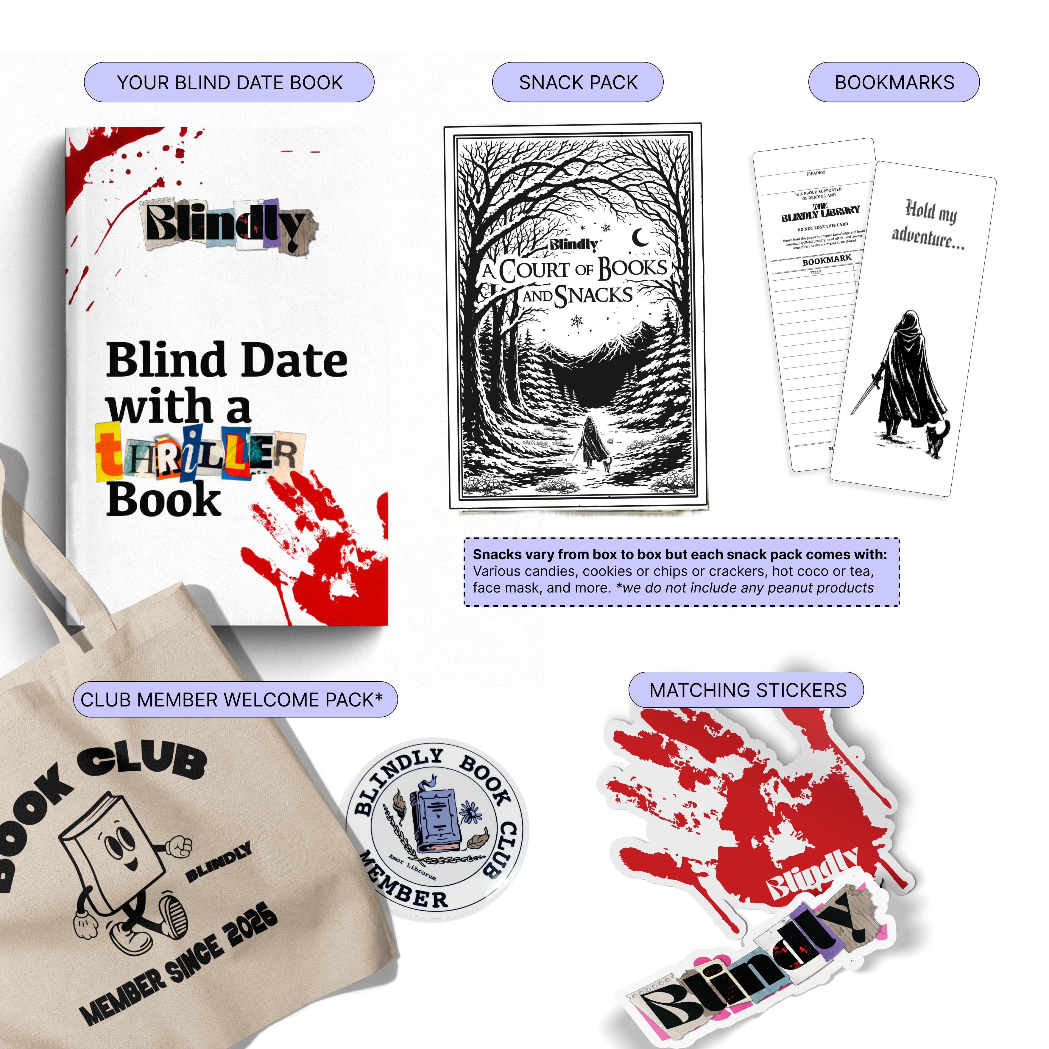 Blind Date with a Thriller Book